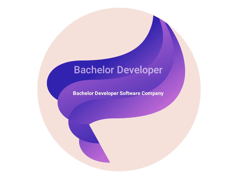 Software Company In Latifabad #2